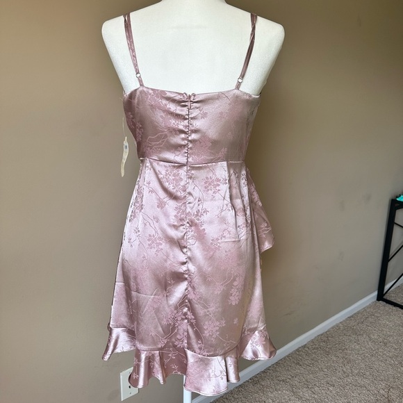 Altr’d State Blush Pink Floral Dress - Picture 5 of 6